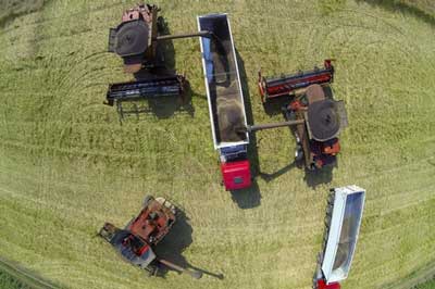 field of crops agronomics